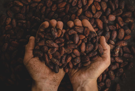 How to Enjoy Low-Sugar Chocolate without the Guilt